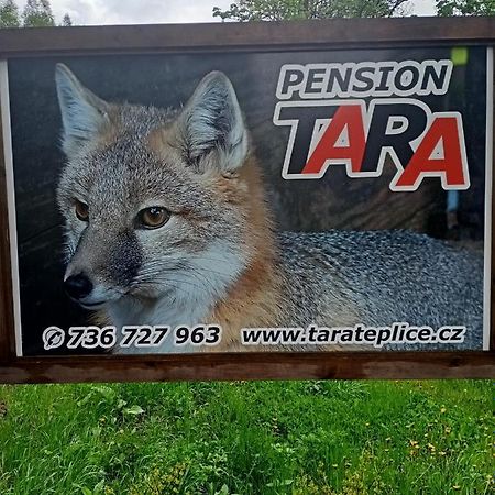 Pension Tara Teplice nad Metují Exterior foto