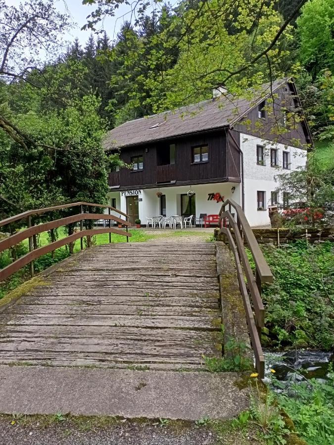 Pension Tara Teplice nad Metují Exterior foto