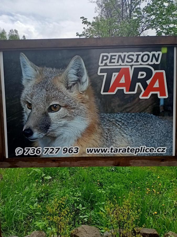 Pension Tara Teplice nad Metují Exterior foto